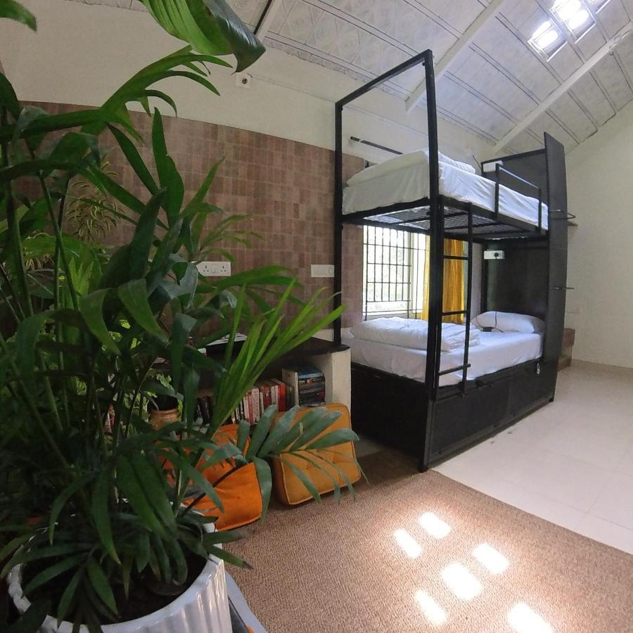 Benomadic Eco Hostel, Madikeri, Coorg Suntikoppa Exterior photo